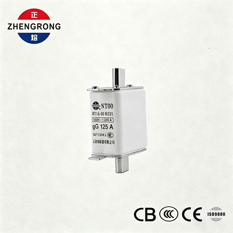 ฟิวส์ NT00 125A ความจุสูงทำลาย - 500V 120kA ลิงค์ฟิวส์เซรามิก gG