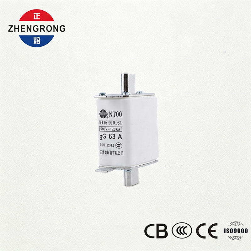 ฟิวส์ NT00 63A ความจุสูงทำลาย - 500V 120kA ลิงค์ฟิวส์เซรามิก gG