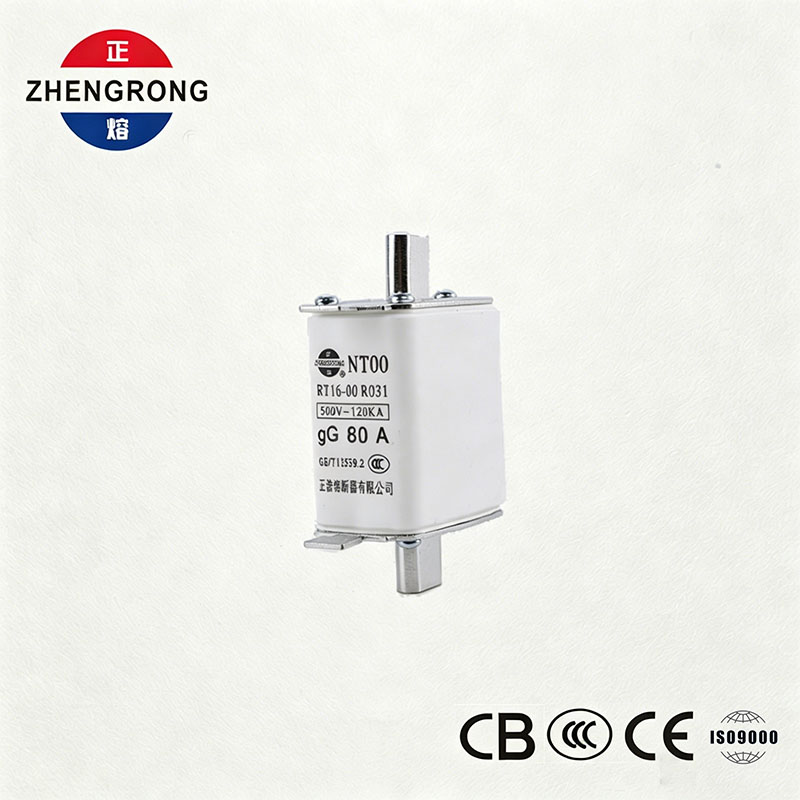 ฟิวส์ NT00 80A ความจุสูงทำลาย - 500V 120kA ลิงค์ฟิวส์เซรามิก gG