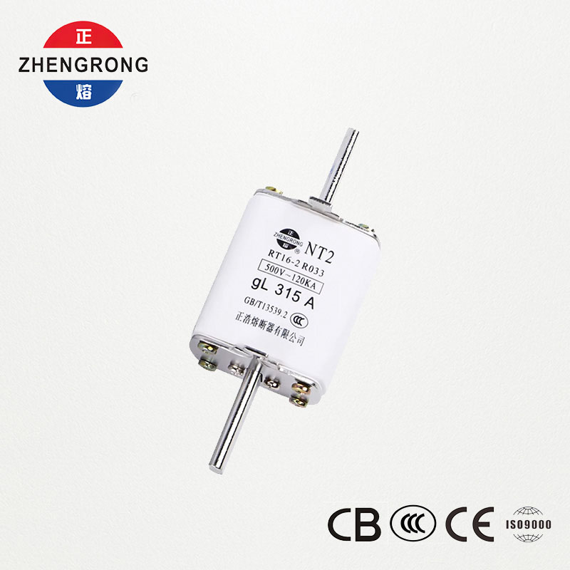 NT2 315A ฟิวส์ลิงค์ | RT16-2 500V gL ฟิวส์เซรามิก